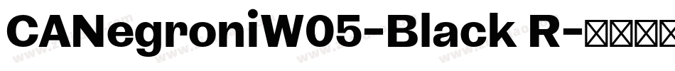 CANegroniW05-Black R字体转换